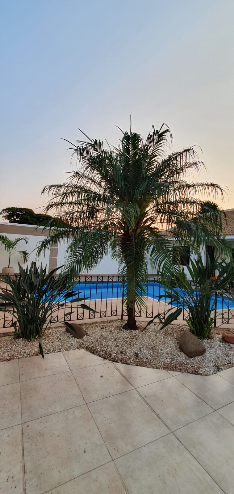 WhatsApp Image 2023-07-12 at 14.51.11 (3)